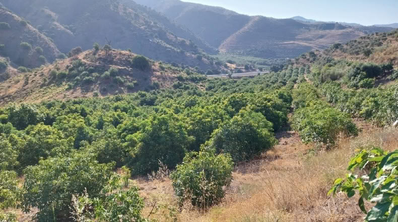 Málaga - Málaga - 1800000m2
