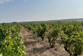Garriguella 170684&nbsp;m² 