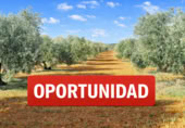 Non-developable land for sale on Calle Seis de Junio, Valdepeñas, ref: TR386787 photo