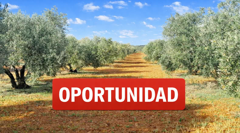 Ciudad Real - Valdepeñas - 25000m2