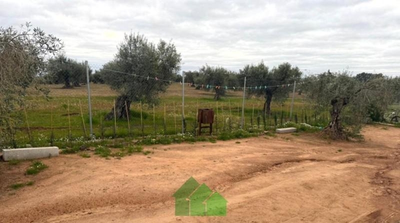Badajoz - Montijo - 2890m2
