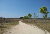 Xalet independent amb terreny en venda a la España, Castalla, ref.: TR386483 foto