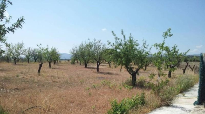 Alicante - Castalla - 45347m2
