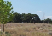 Xalet independent amb terreny en venda a la España, Castalla, ref.: TR386483 foto