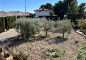 Chalet independiente con terreno en venta en la España, Elche, ref: TR400058 foto