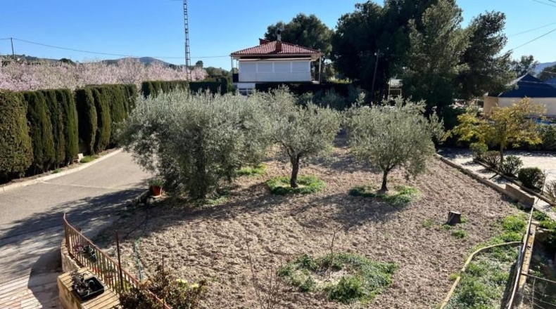Alicante - Dolores - 4039m2
