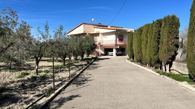 Alicante - Dolores - 4039m2
