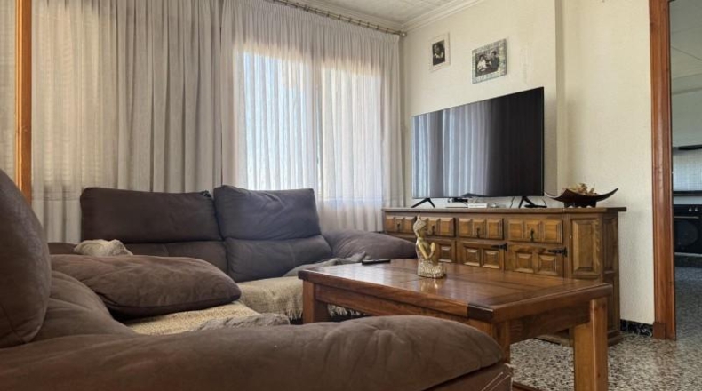 Alicante - Dolores - 4039m2