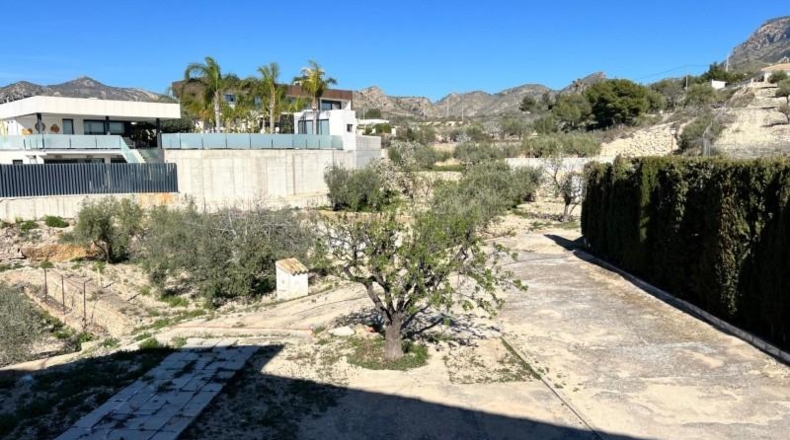 Alicante - Dolores - 4039m2