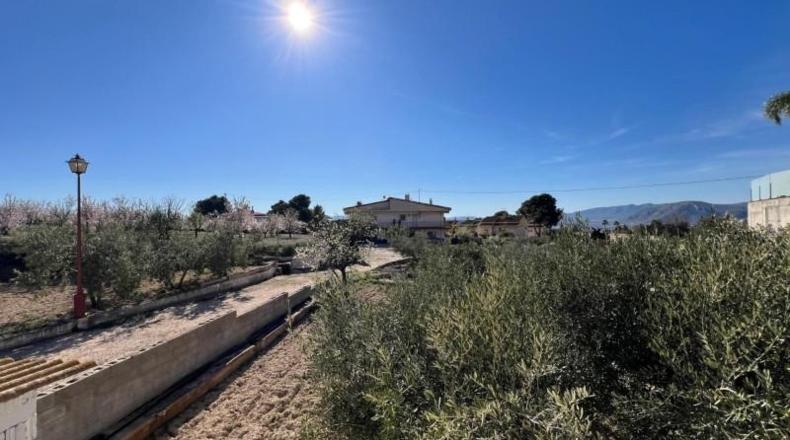 Alicante - Dolores - 4039m2