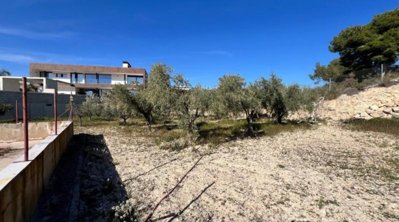 Alicante - Dolores - 4039m2