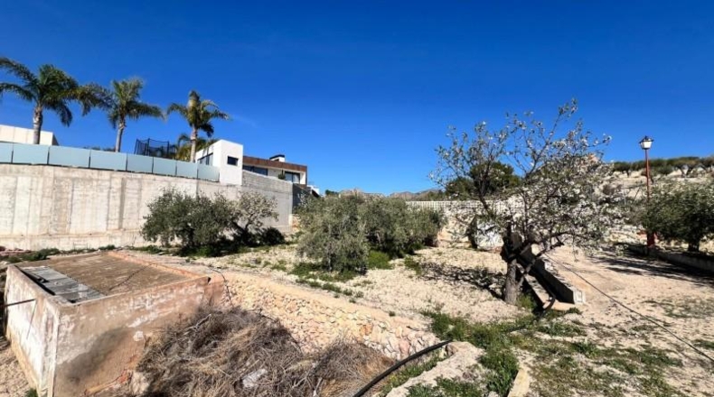 Alicante - Dolores - 4039m2