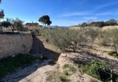 Chalet independiente con terreno en venta en la España, Elche, ref: TR400058 foto
