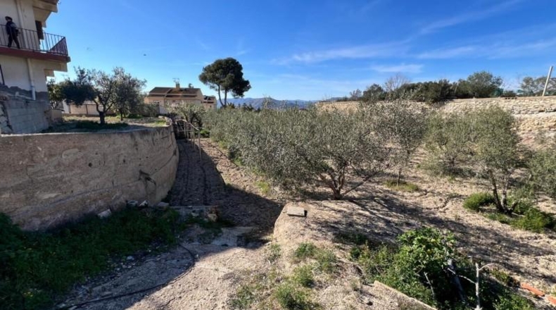 Alicante - Dolores - 4039m2