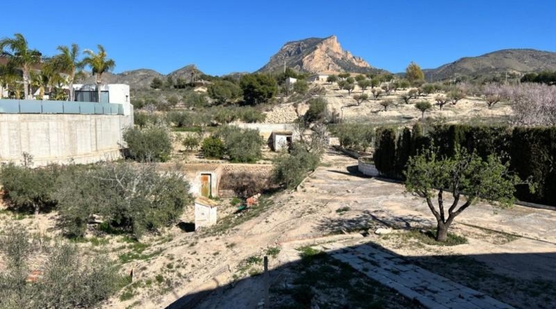Alicante - Dolores - 4039m2
