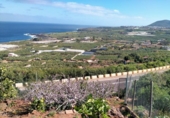 Non-developable land for sale on España, Buenavista del Norte, ref: TR386717 photo