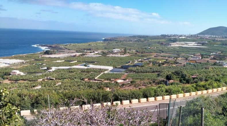 Santa Cruz de Tenerife - Buenavista del Norte - 29520m2