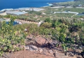 Non-developable land for sale on España, Buenavista del Norte, ref: TR386717 photo