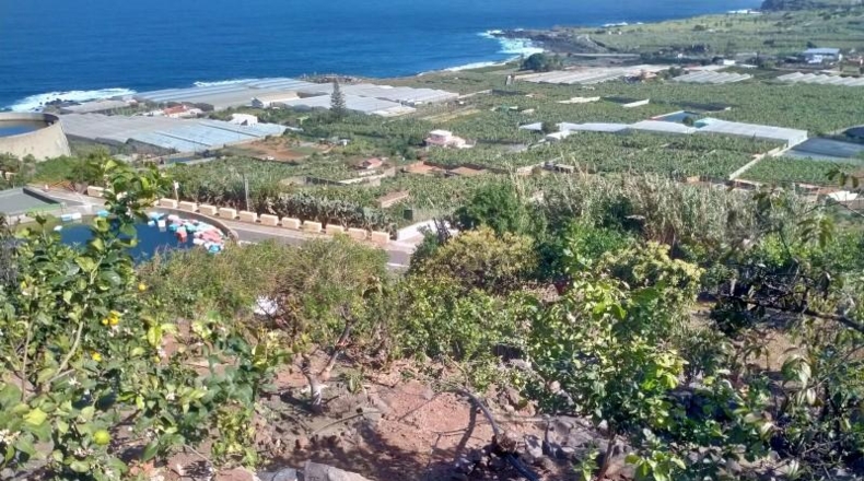 Santa Cruz de Tenerife - Buenavista del Norte - 29520m2
