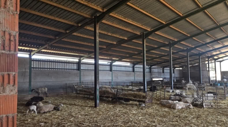 Ciudad Real - Ciudad Real - 50000m2