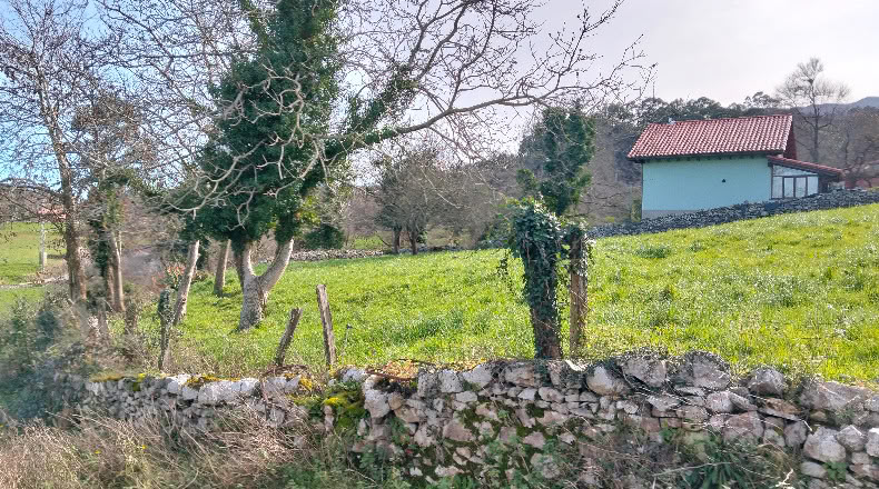 Asturias - Llanes - 1305m2