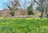 Parcel·la urbanitzable en venda a Llanes ref.: TR387053 foto