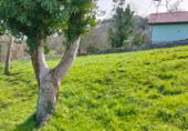 Parcel·la urbanitzable en venda a Llanes ref.: TR387053 foto