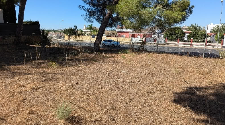 Sevilla - Alcalá de Guadaíra - 966m2
