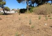 Suelo urbano en venta en la Calle Pinsapo, Alcalá de Guadaíra, ref: TR387367 foto