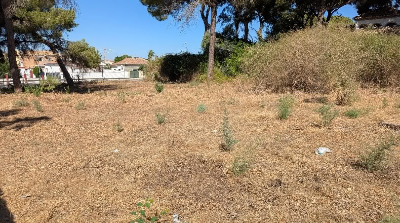 Sevilla - Alcalá de Guadaíra - 966m2