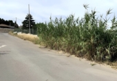 Suelo urbano en venta en la España, Torrent, ref: TR387088 foto