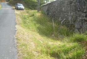 A Caniza 5000&nbsp;m² 