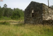 Rural estate for sale on España, A Caniza, ref: TR400067 photo