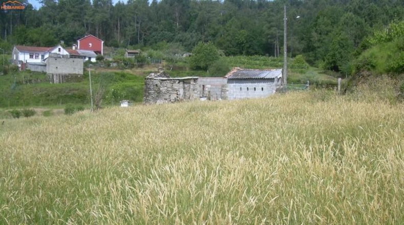 Pontevedra - La Cañiza - 5000m2