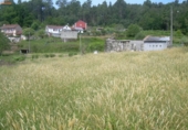 Rural estate for sale on España, A Caniza, ref: TR400067 photo