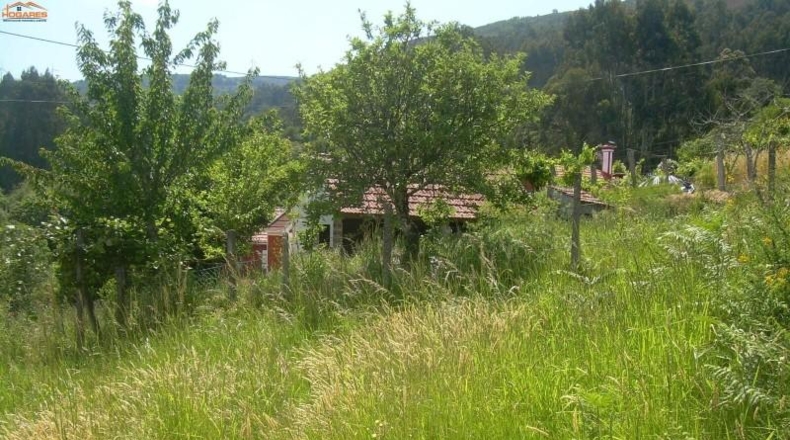 Pontevedra - La Cañiza - 1800m2