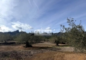 Terreny no urbanitzable en venda a la España, el Perelló, ref.: TR387011 foto