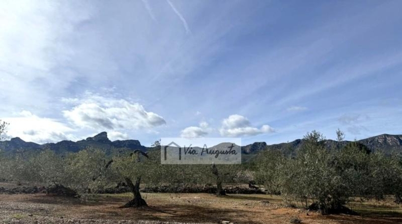 Tarragona - эль Перельо - 14467m2