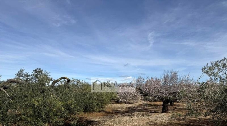 Tarragona - эль Перельо - 14467m2