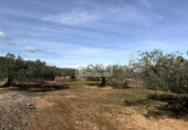 Terreny no urbanitzable en venda a la España, el Perelló, ref.: TR387011 foto