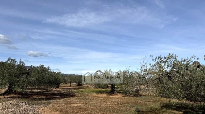 Tarragona - эль Перельо - 14467m2