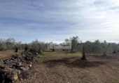 Terreny no urbanitzable en venda a la España, el Perelló, ref.: TR387011 foto