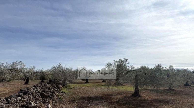 Tarragona - эль Перельо - 14467m2