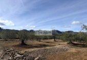 Terreny no urbanitzable en venda a la España, el Perelló, ref.: TR387011 foto