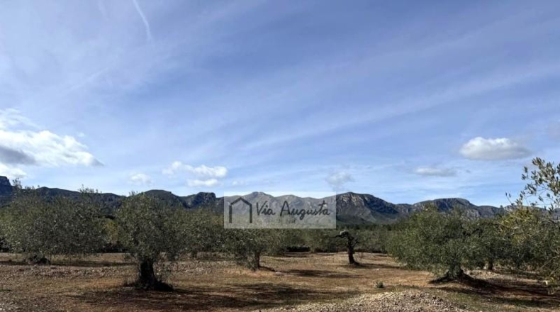 Tarragona - эль Перельо - 14467m2