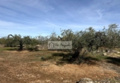 Terreny no urbanitzable en venda a la España, el Perelló, ref.: TR387011 foto