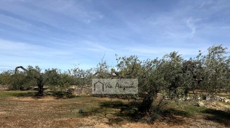 Tarragona - эль Перельо - 14467m2