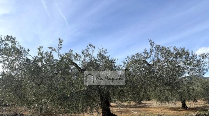 Tarragona - эль Перельо - 14467m2