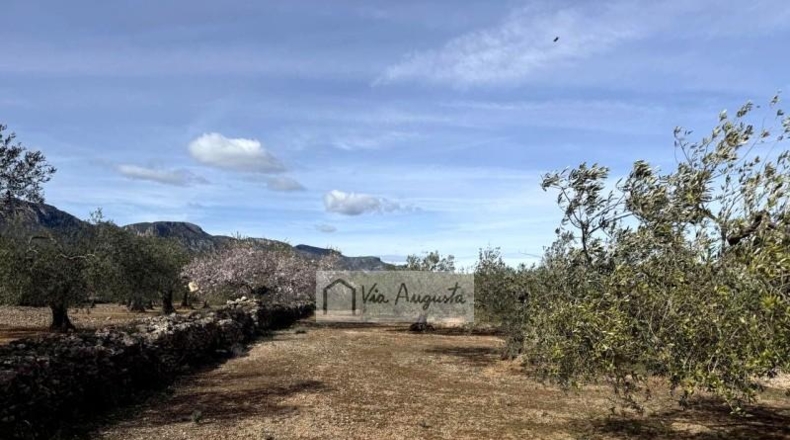 Tarragona - эль Перельо - 14467m2