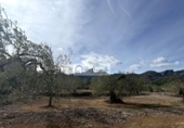 Terreny no urbanitzable en venda a la España, el Perelló, ref.: TR387011 foto